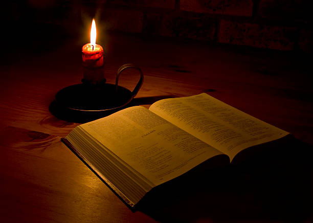 The Amber Diaries Chapter 4: ‘A Late Antagonist’ – by Amber&nbsp;Poppitt