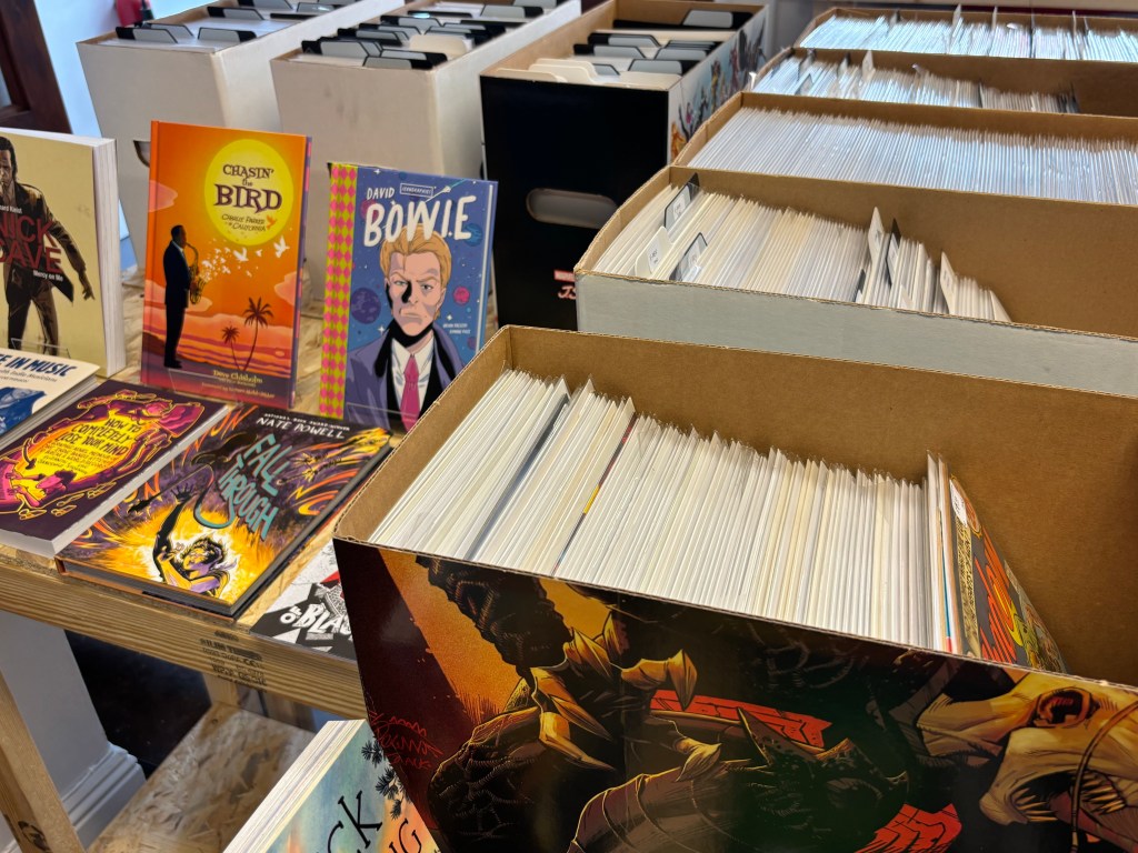 A picture of the comic bins, showing many different titles